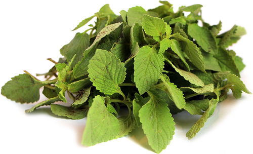 Tulsi Extract Powder - Herbal Leaf And Seed Blend | Ayurvedic Medicine, Natural Healing Properties, Versatile Herbal Usage