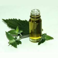 Catnip Essential Oil Age Group: All Age Group