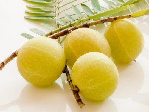 Amla Fruit Extract Age Group: Suitable For All