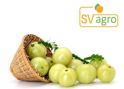 Amla Fruit Extract Age Group: Suitable For All