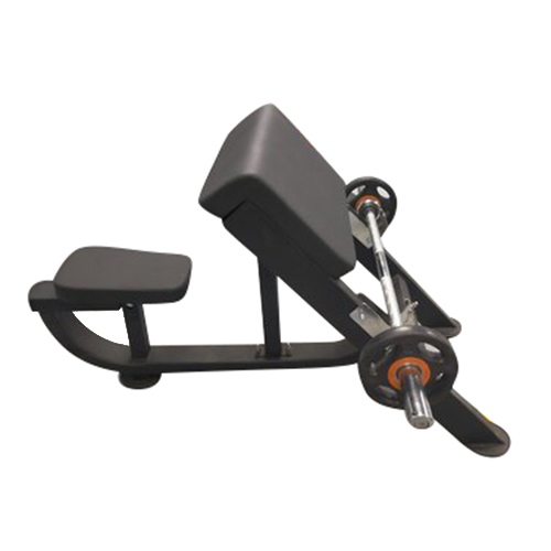 Preacher Curl Bench