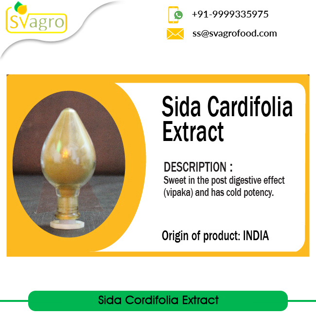 Herbs Powder Sida Extract