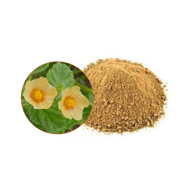 Herbs Powder Sida Extract