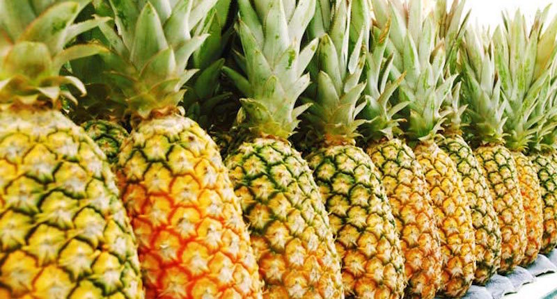 Dried Herbs Bromelain Powder