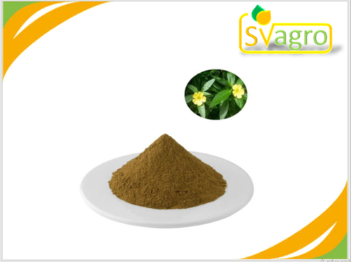 Herbs Powder Damiana Extract