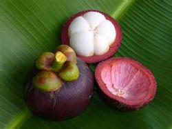 Mangosteen Extract - Herbal Powder | Natural Treatment For Health And Wellness Benefits, Antioxidant-rich