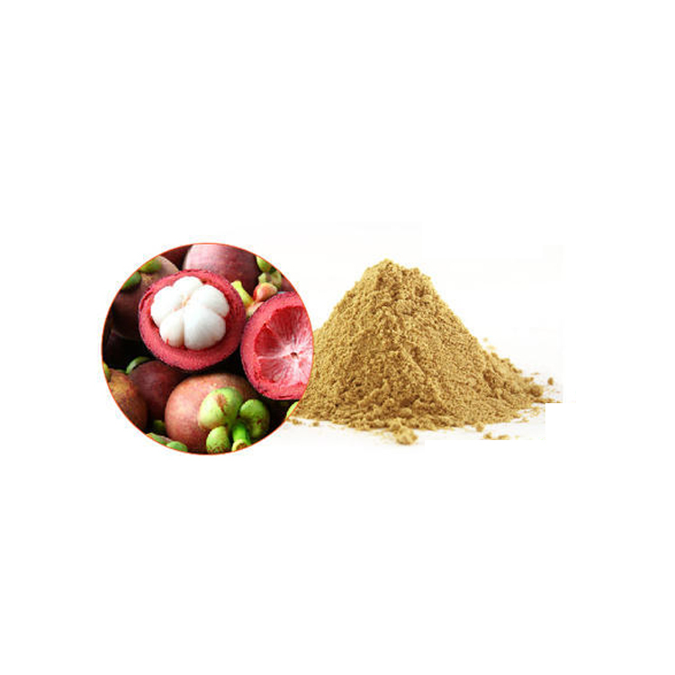 Mangosteen Extract - Herbal Powder | Natural Treatment For Health And Wellness Benefits, Antioxidant-rich