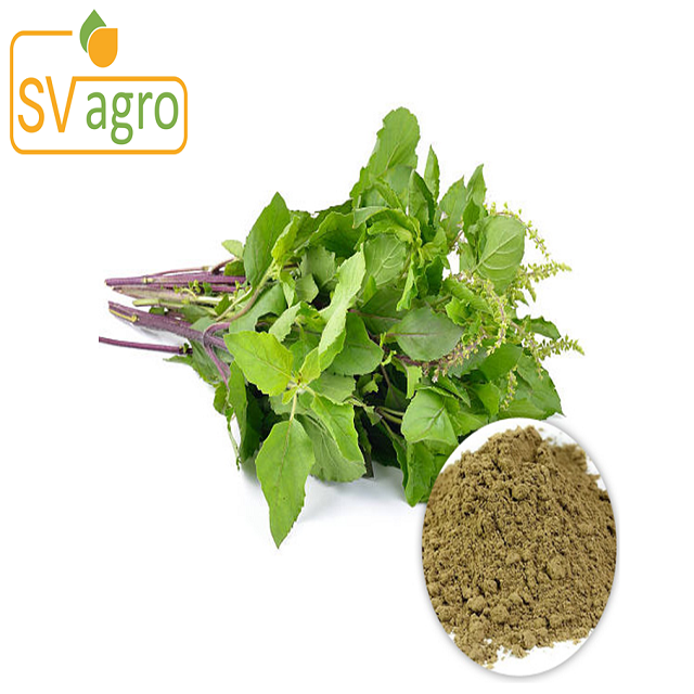 Holy Basil Extract - Herbal Herbs Powder | Natural Remedies For Wellness, Stress Relief, And Immune Support