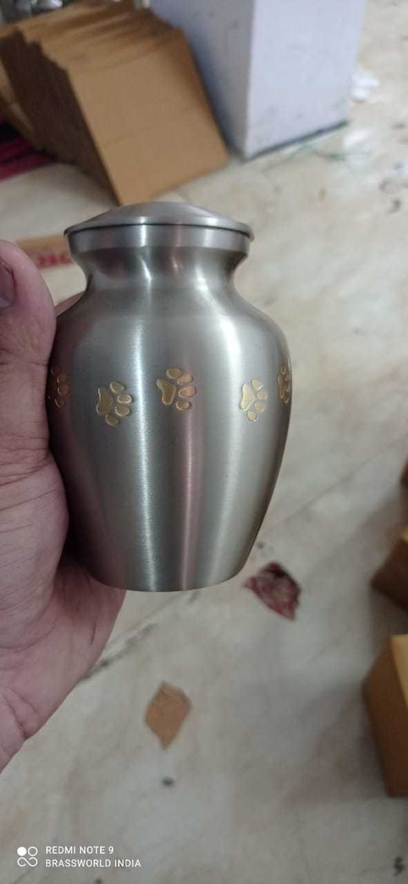 Brass Odyssey With Black Paw