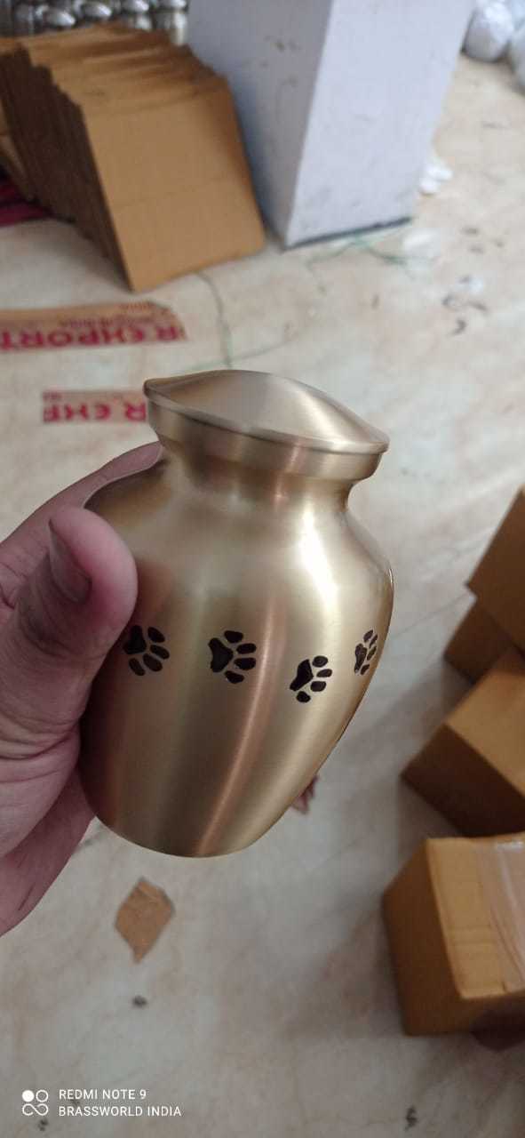 Brass Odyssey Siver Color With Black Paw