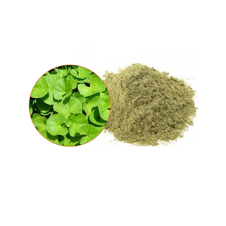 Herbs Powder Centella Asiatica Extract