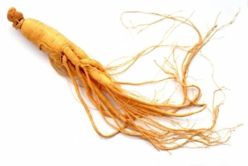 Withania Somnifera Extract - Herbal Powder | Suitable Dosage Guidelines, Consult Healthcare Professionals Before Use
