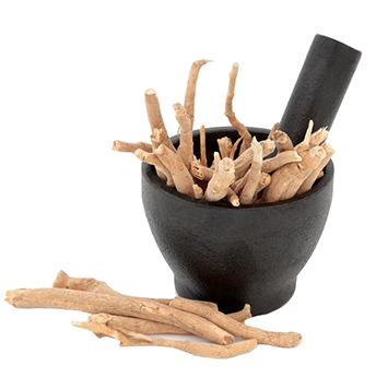 Withania Somnifera Extract - Herbal Powder | Suitable Dosage Guidelines, Consult Healthcare Professionals Before Use