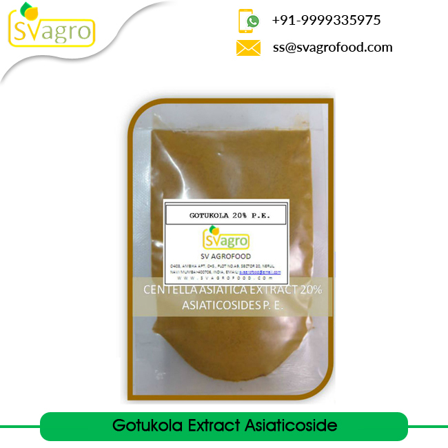 Withania Somnifera Extract - Herbal Powder | Suitable Dosage Guidelines, Consult Healthcare Professionals Before Use