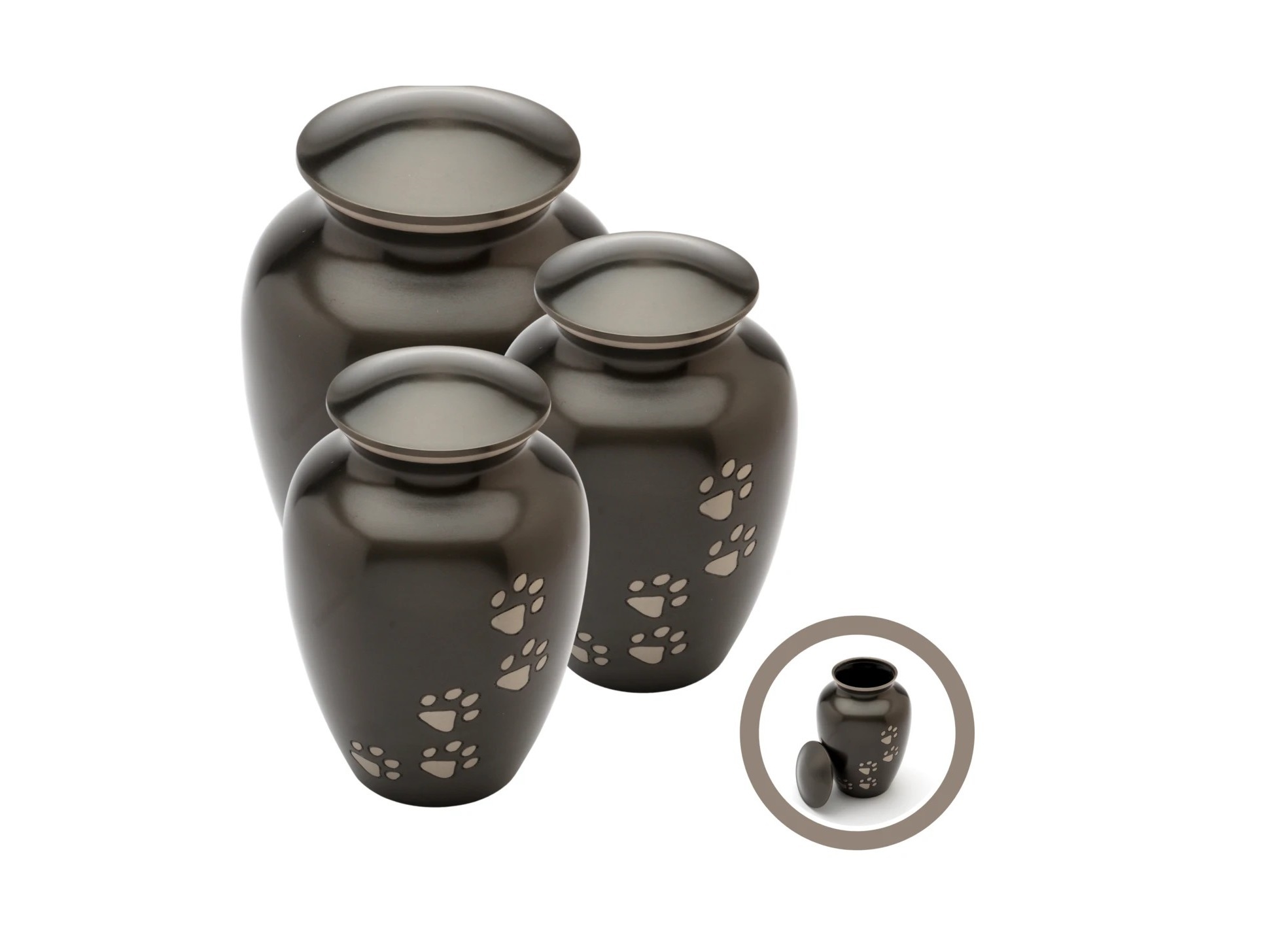 Brass Odyssey White With Golden Paw Urn Funeral Supplies