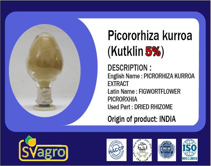 Kutki Picrorrhiza Extract Age Group: For Adults