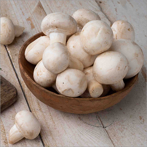 Button Mushroom