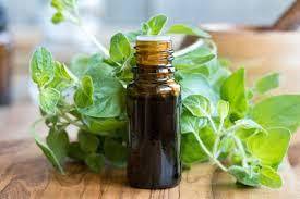 Oregano Essential Oil Age Group: All Age Group