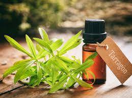 Tarragon Essential Oil Age Group: All Age Group