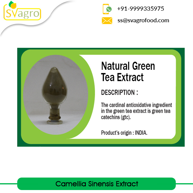Green Tea Extract Grade: Na