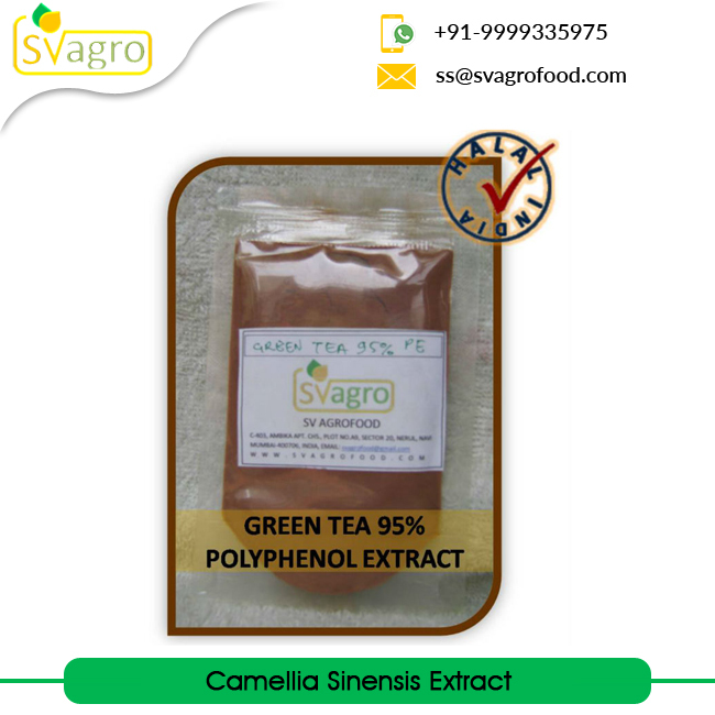 Green Tea Extract Grade: Na