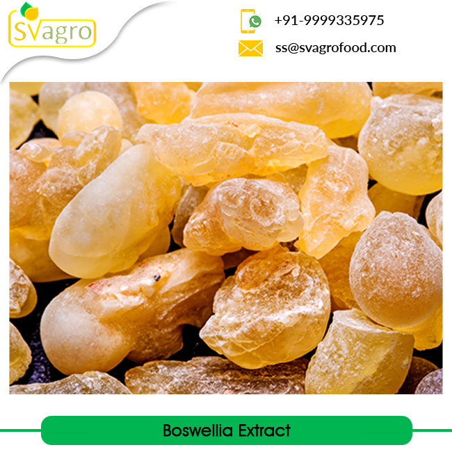 Boswellia Serrata Extract Powder Shelf Life: 3 Years