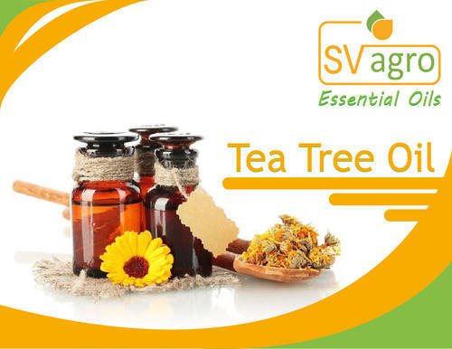Tea Tree Oil Purity: 99%