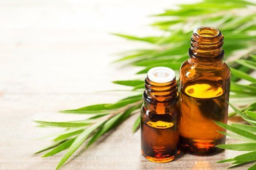 Tea Tree Oil Purity: 99%