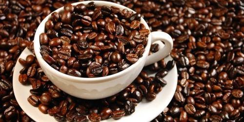 Brown/black Roasted Chicory Liquid Extract