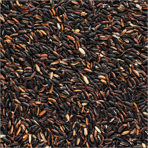 Black Rice - Organic Dried Black Rice, 2-year Shelf Life, Nutrient-rich Superfood
