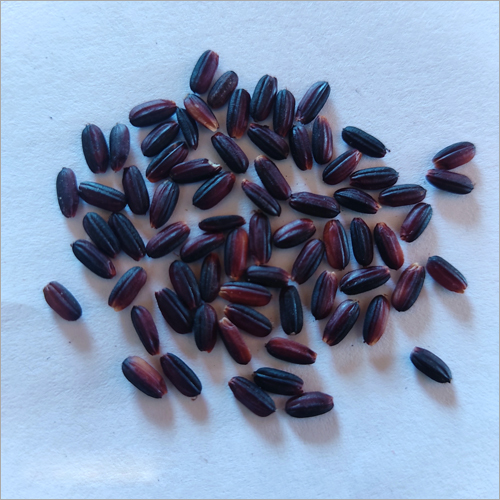 Black Rice - Organic Dried Black Rice, 2-year Shelf Life, Nutrient-rich Superfood