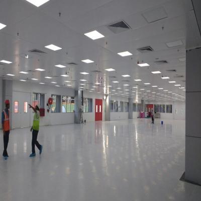 पेरिफेरल लाइट (एसआई सर्जिकल)