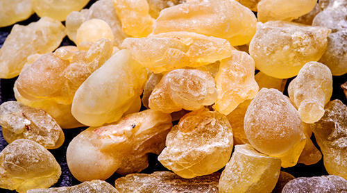 Guggul Powder Grade: Na