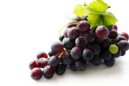 Grape Seed Extract - Min 5 Weight, Deep Purple/brownish Color, Oval Shape, Sour Taste, 2 Years Shelf Life