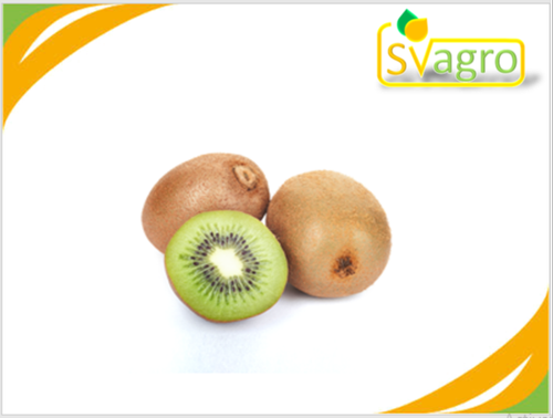 Greenish Kiwi Fruit Extract