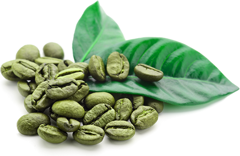 Green Coffee Bean Powder - Herbal Extract, 3 Month Shelf Life | Ideal For Men And Women
