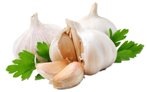 Powder Allicin Extract
