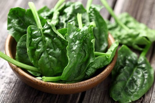 Spray Dried Spinach Powder - Fine Green Powder | Rich In Nutrients, Versatile Ingredient For Smoothies And Cooking