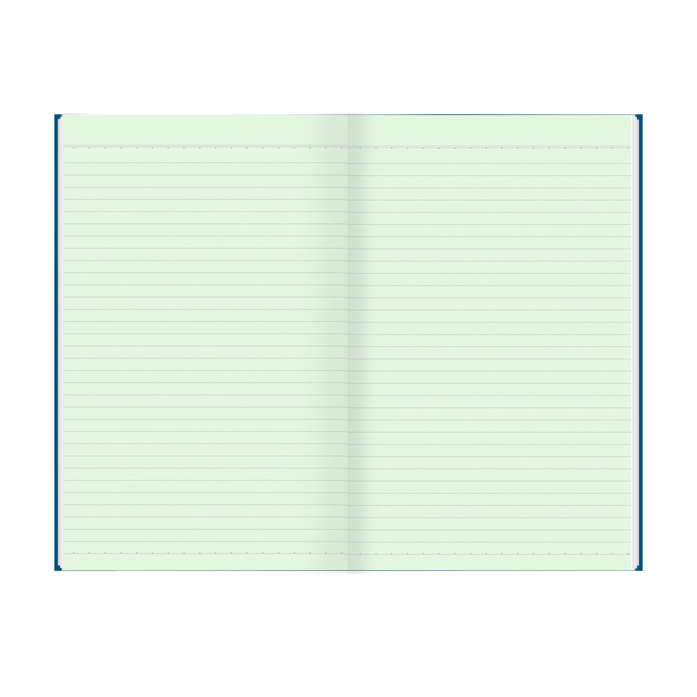 C Ruled Register - Paper, 20.3 X 32.5 Cm, 144 Pages | Center Stitched, Hard Cover, Ideal For Schools And Colleges