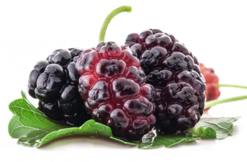 Mulberry Fruit Extract Grade: Na