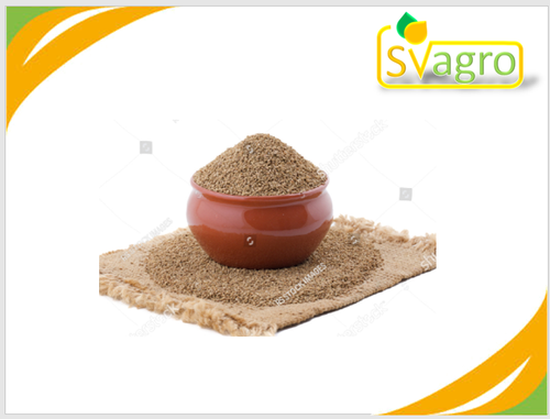 Ajwain Extract Grade: Na