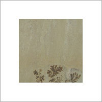 मिंट फॉसिल्स सैंडस्टोन