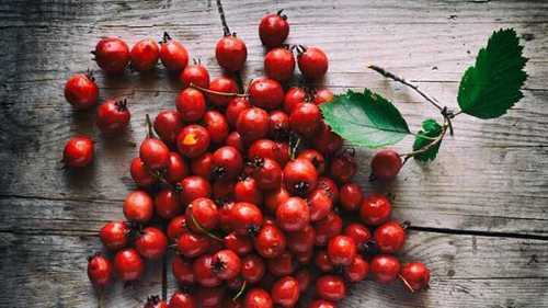 Red Hawthorn Berry Extract