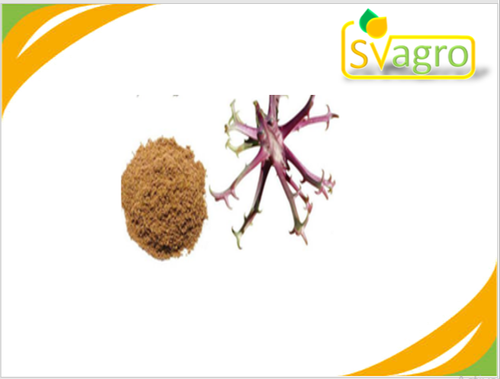 Devil's Claw Extract Grade: Na