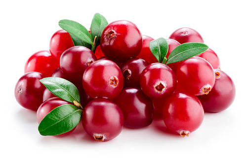 Red Cranberry Extract 25% Proanthocyanidin