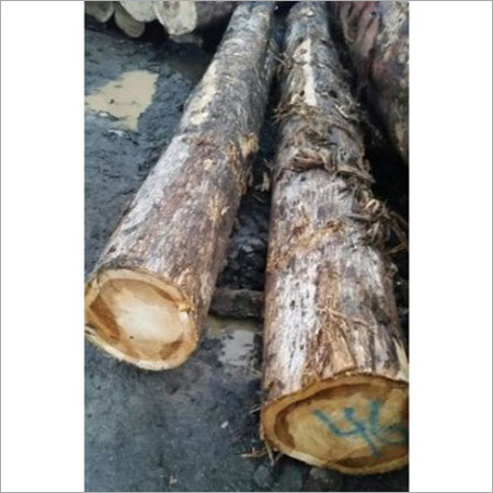 Teak Timber