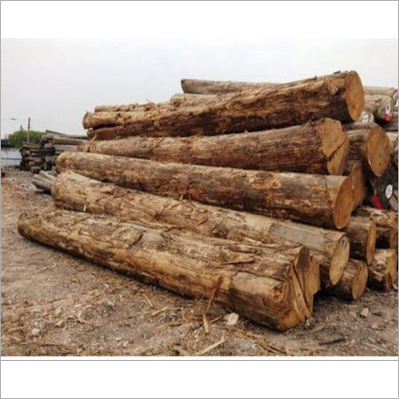 Burma Teak Round Logs