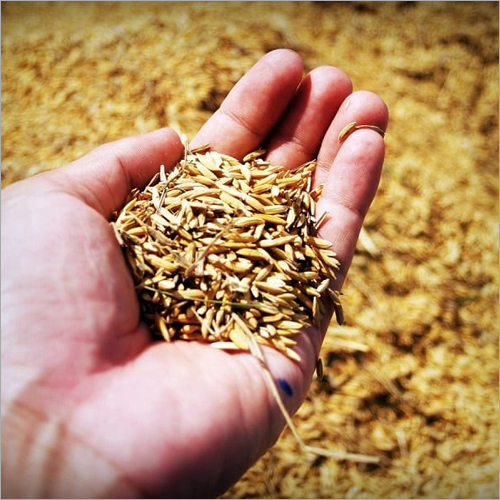 Raw Rice Husk - 1-3 Mm Size Yellow Color | 10-12% Moisture 120-150 Kg/m3 Density 20-25% Ash Content Bulk Bag Packaging