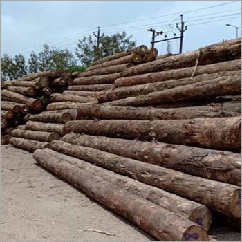 Meranti Logs