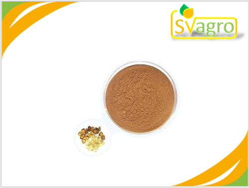 Propolis Extract - Herbal Powder Supplement | Natural Antioxidant, Anti-inflammatory, And Antimicrobial Properties For Men And Women, 3-year Shelf Life